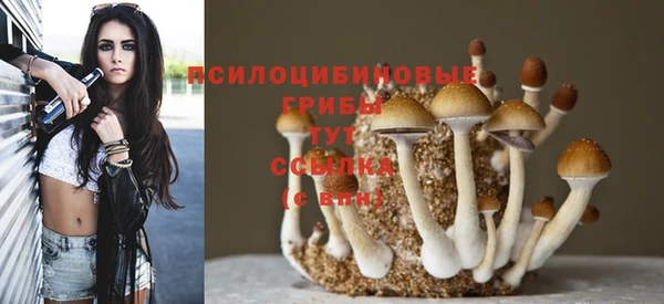тгк Баксан
