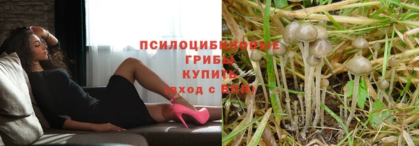 тгк Баксан