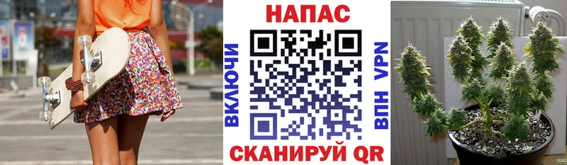 Конопля сатива  кракен как зайти  Кодинск  купить закладку 